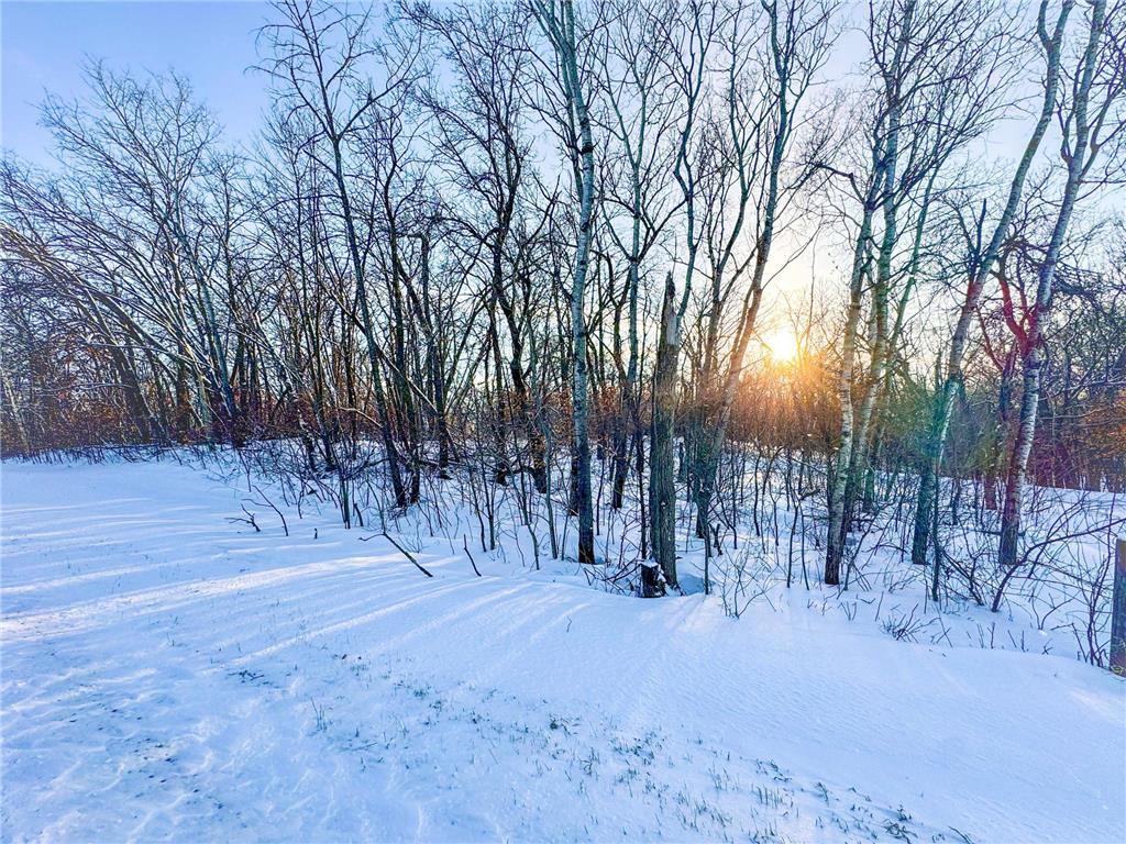 XXXXX German Lake Road Underwood MN 56586 7028045 image4