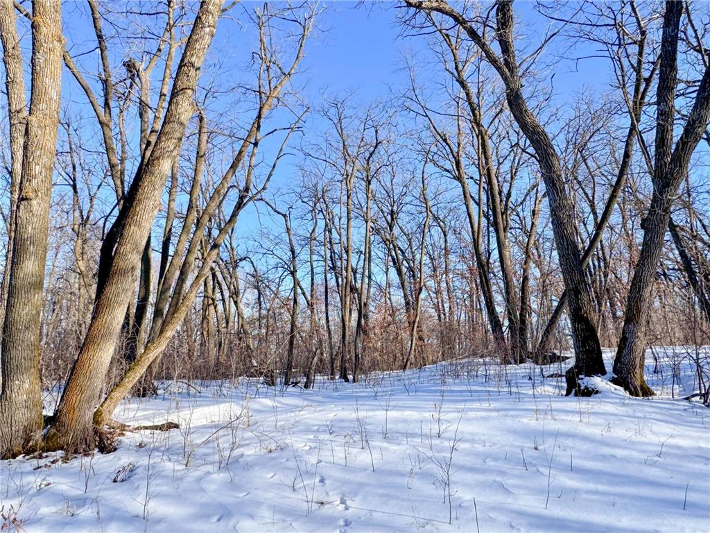 XXXXX German Lake Road Underwood MN 56586 7028045 image9