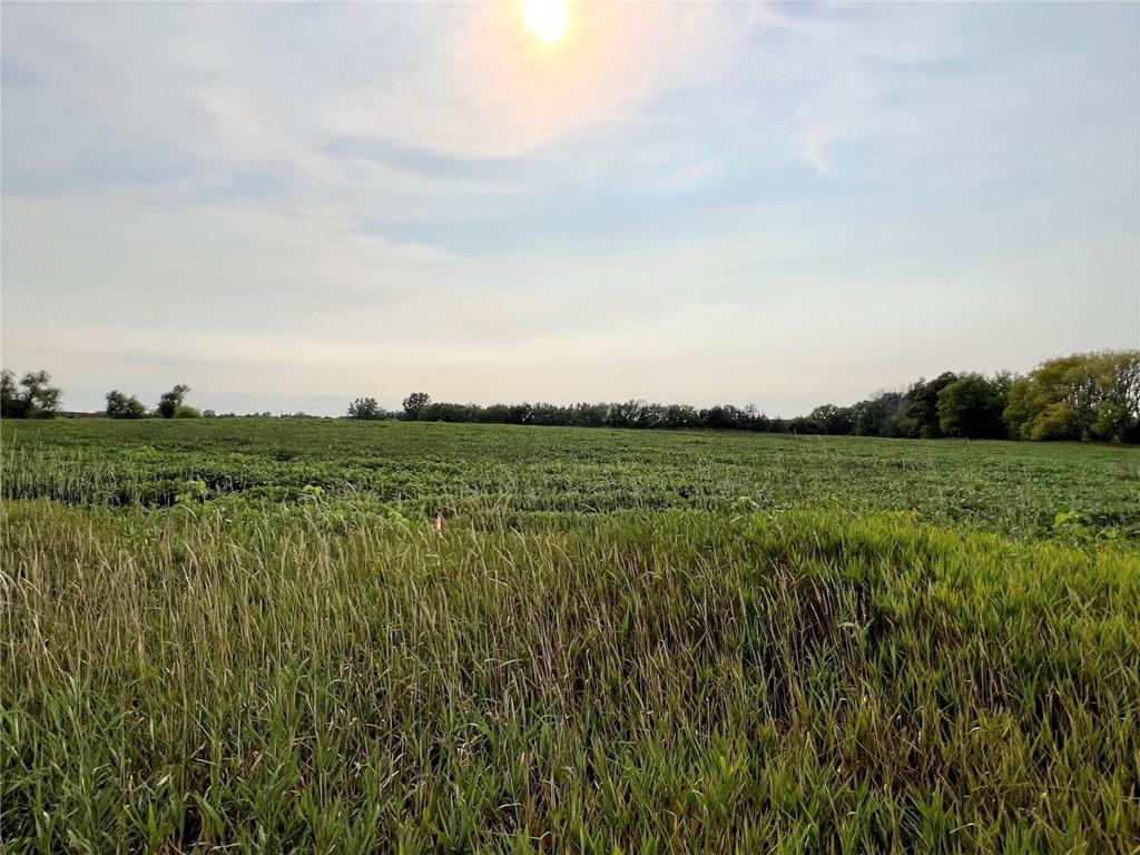XXXXX Jeffrey Ave N - Parcel B Hugo MN 55038 6696708 image1