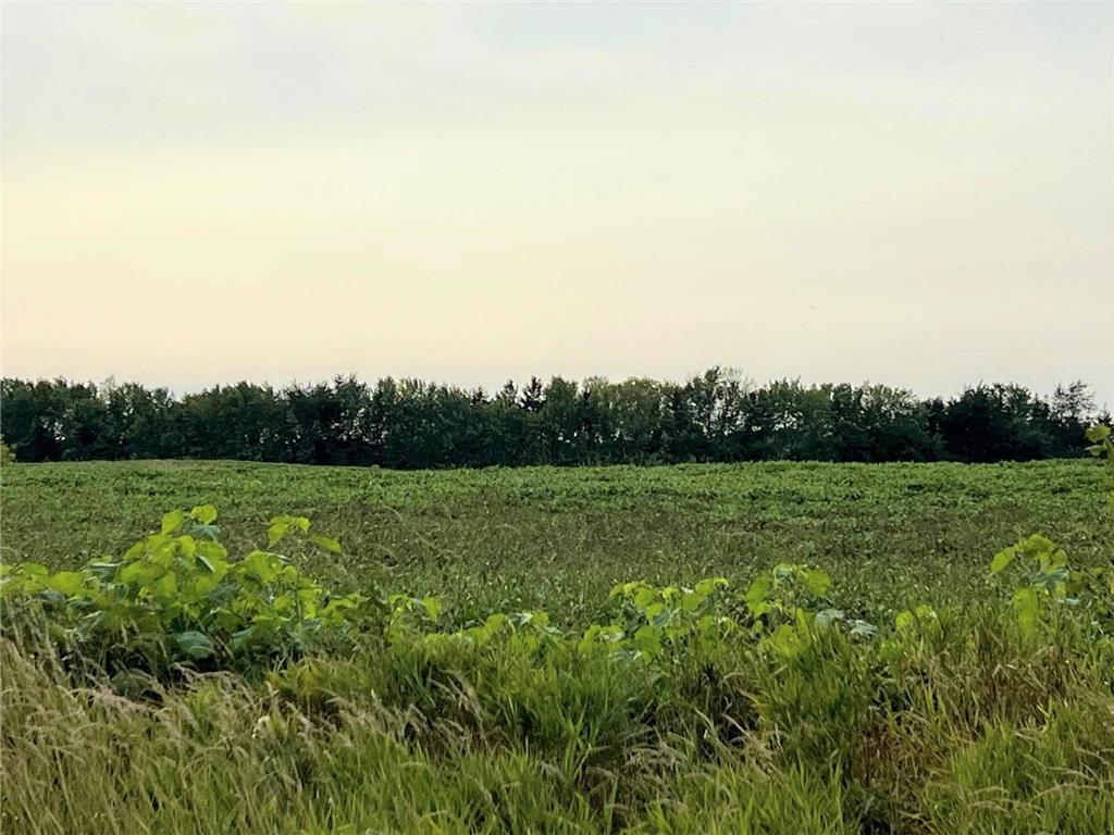 XXXXX Jeffrey Ave N - Parcel B Hugo MN 55038 6696708 image2