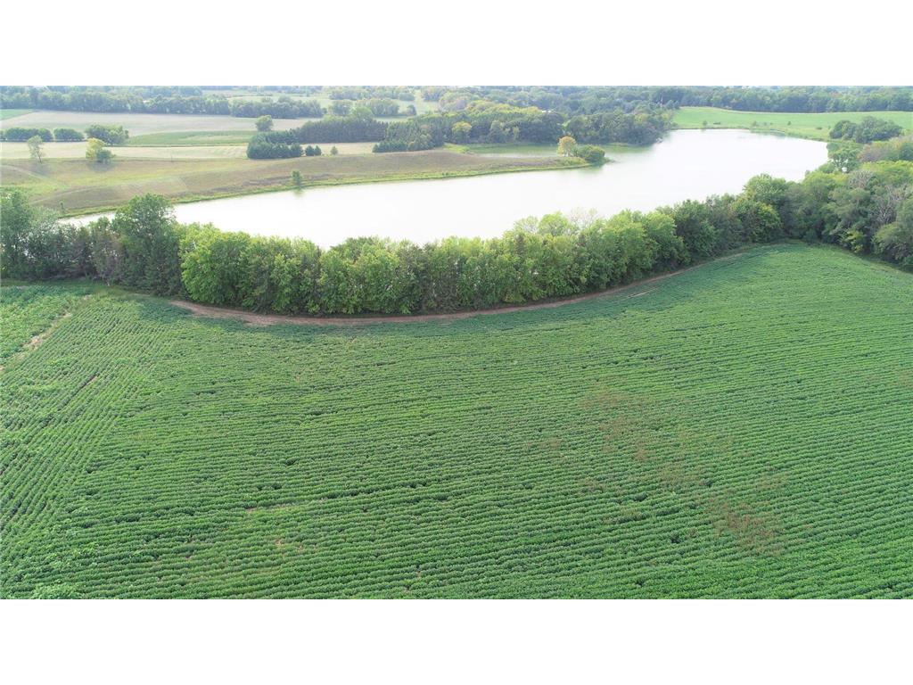 XXXXX Jeffrey Ave N - Parcel B Hugo MN 55038 6696708 image4