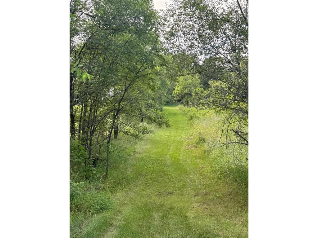 XXXXX Jonquil Lane N Dayton MN 55327 6672402 image3