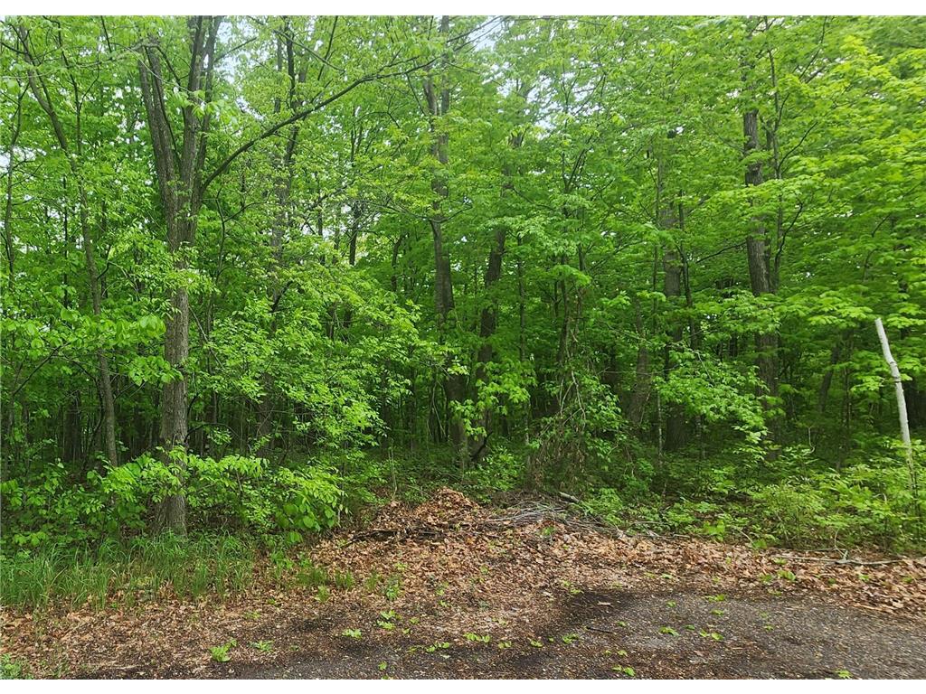 XXXXX Journeys end Kathio Twp MN 56450 6725933 image2