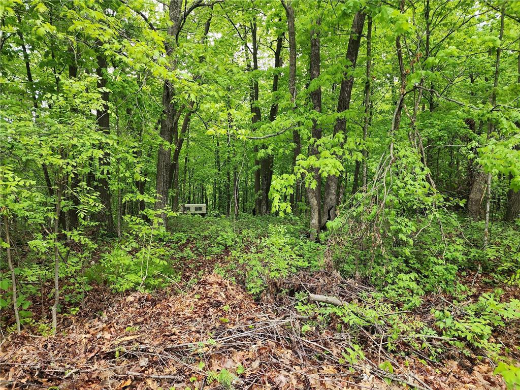 XXXXX Journeys end Kathio Twp MN 56450 6725933 image3