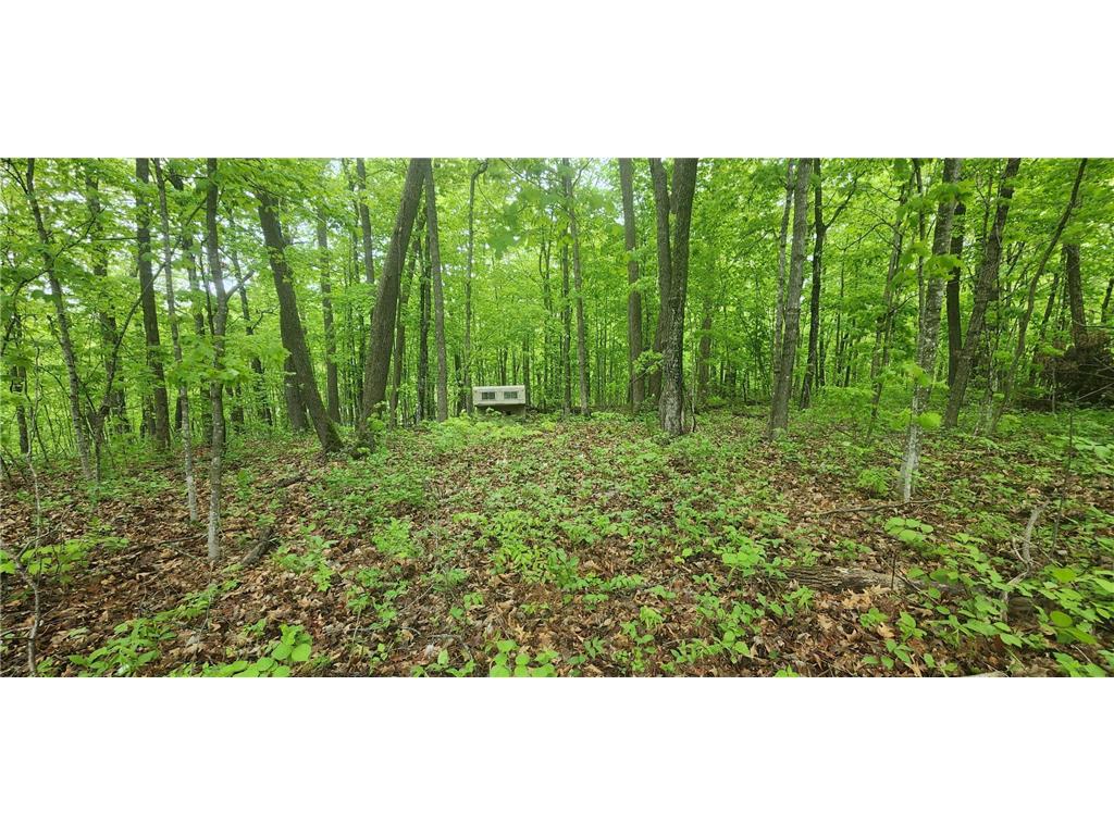 XXXXX Journeys end Kathio Twp MN 56450 6725933 image4