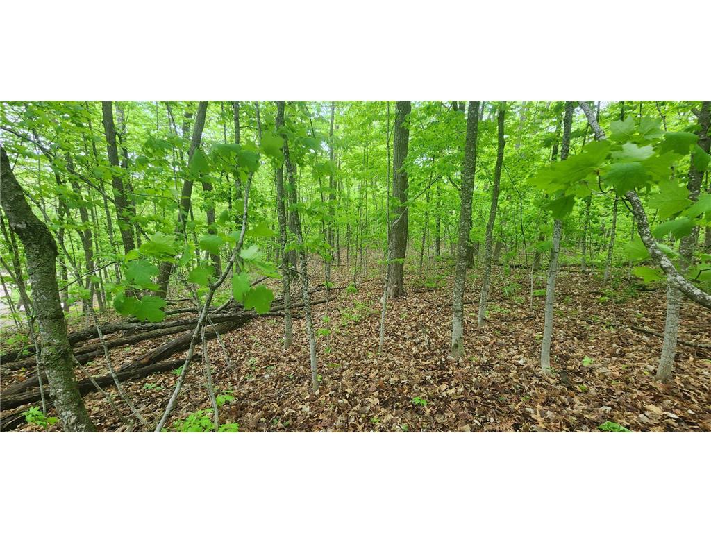 XXXXX Journeys end Kathio Twp MN 56450 6725933 image5