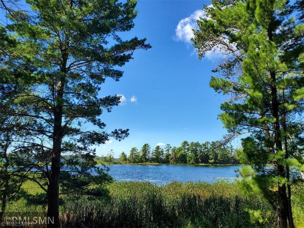 XXXXX Liedlwood Lane Pequot Lakes MN 56472 - Whitefish Lake 6096527 image1