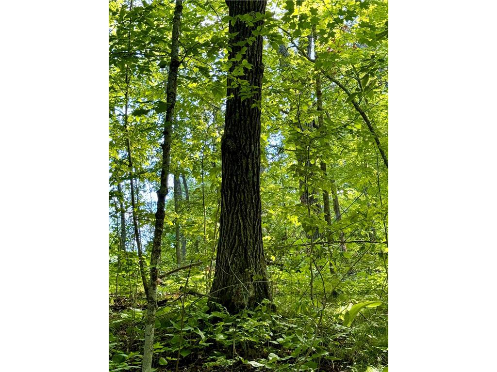 XXXXX Loft Lane Garrison MN 56450 6581006 image1