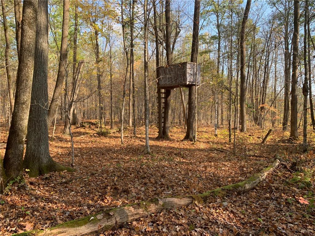 XXXXX Merlin Road Dailey Twp MN 56338 6442535 image1