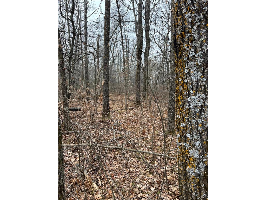 XXXXX Old Sangren Road Willow River MN 55795 6462776 image1