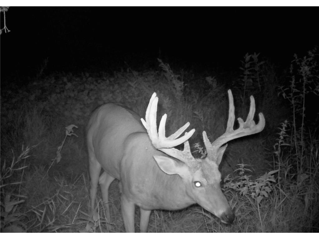 XXXXX State Highway 210 Fergus Falls MN 56537 7058441 image29