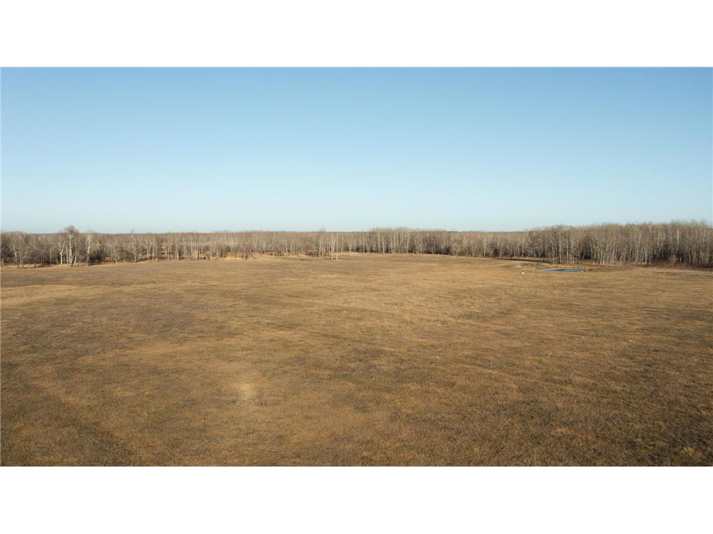 XXXXX State Hwy 64 Staples MN 56479 7061734 image7