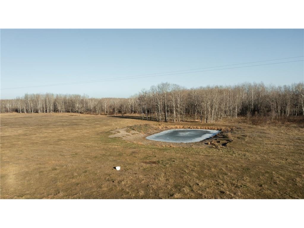 XXXXX State Hwy 64 Staples MN 56479 7061734 image8