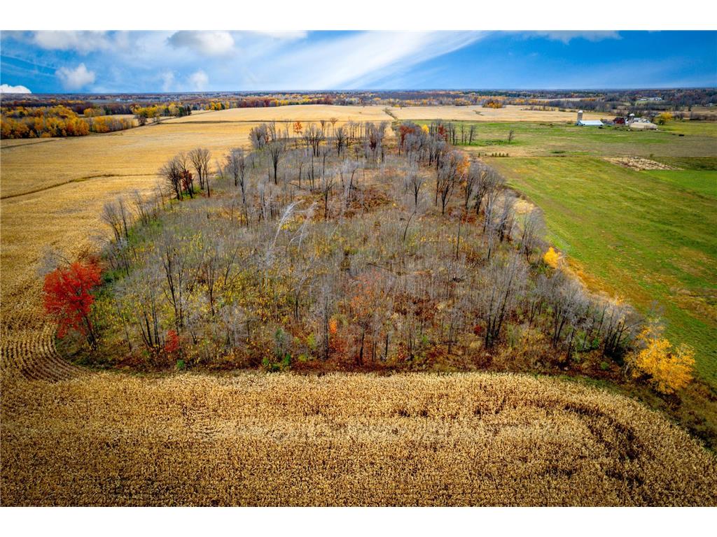 XXXXX White Oak Road Pine City MN 55063 6805241 image9