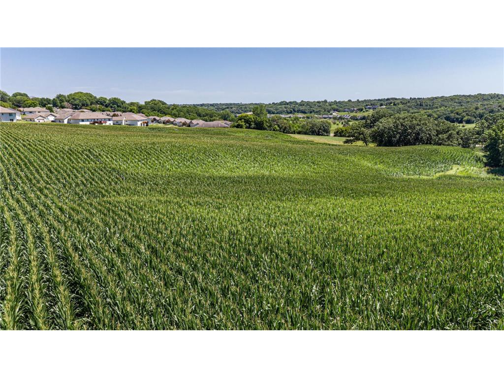 XXXXXX Country Club Road W Rochester Twp MN 55902 7002676 image6