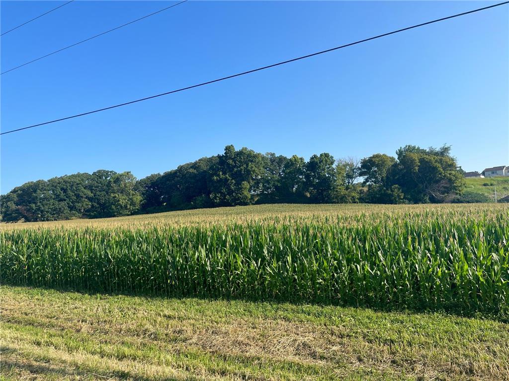 XXXXXX Country Club Road W Rochester Twp MN 55902 7002676 image7