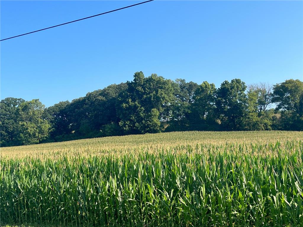 XXXXXX Country Club Road W Rochester Twp MN 55902 7002676 image8