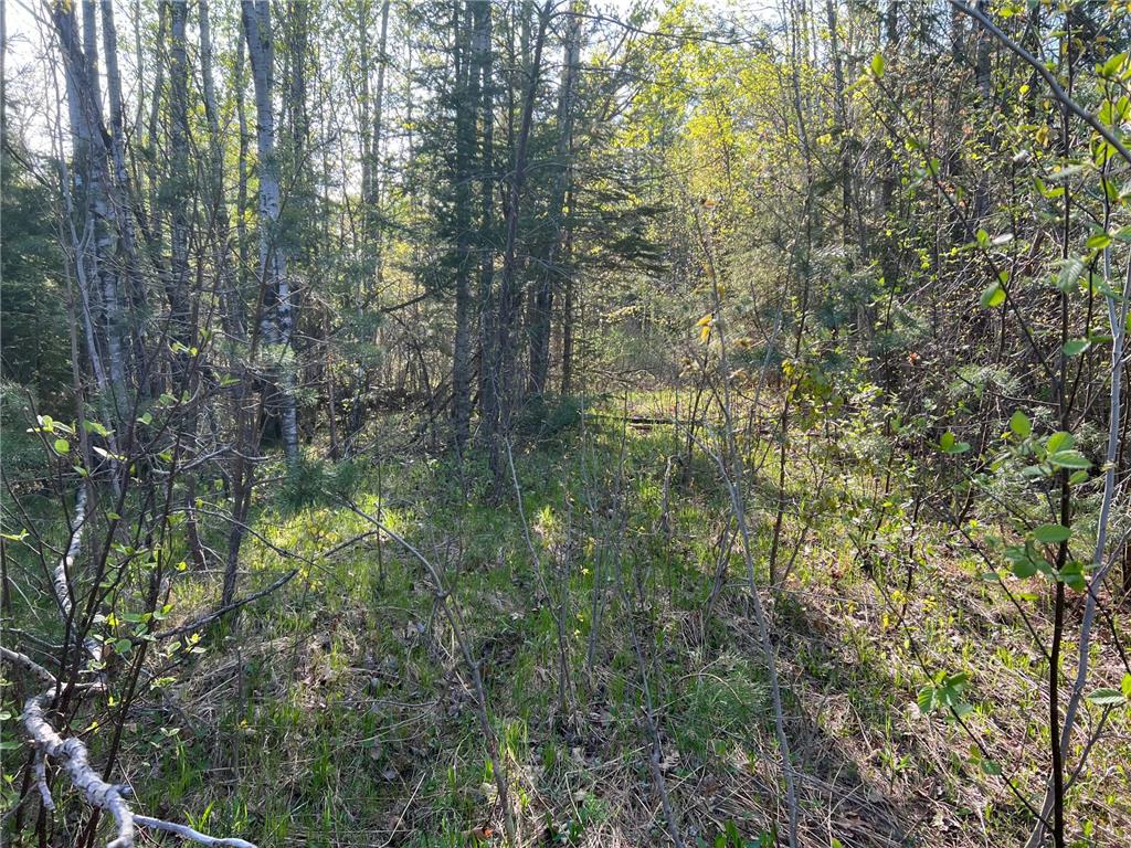 XYZ County Highway 61, Dell Grove Twp, MN, 55037 MLS 6372442 Edina