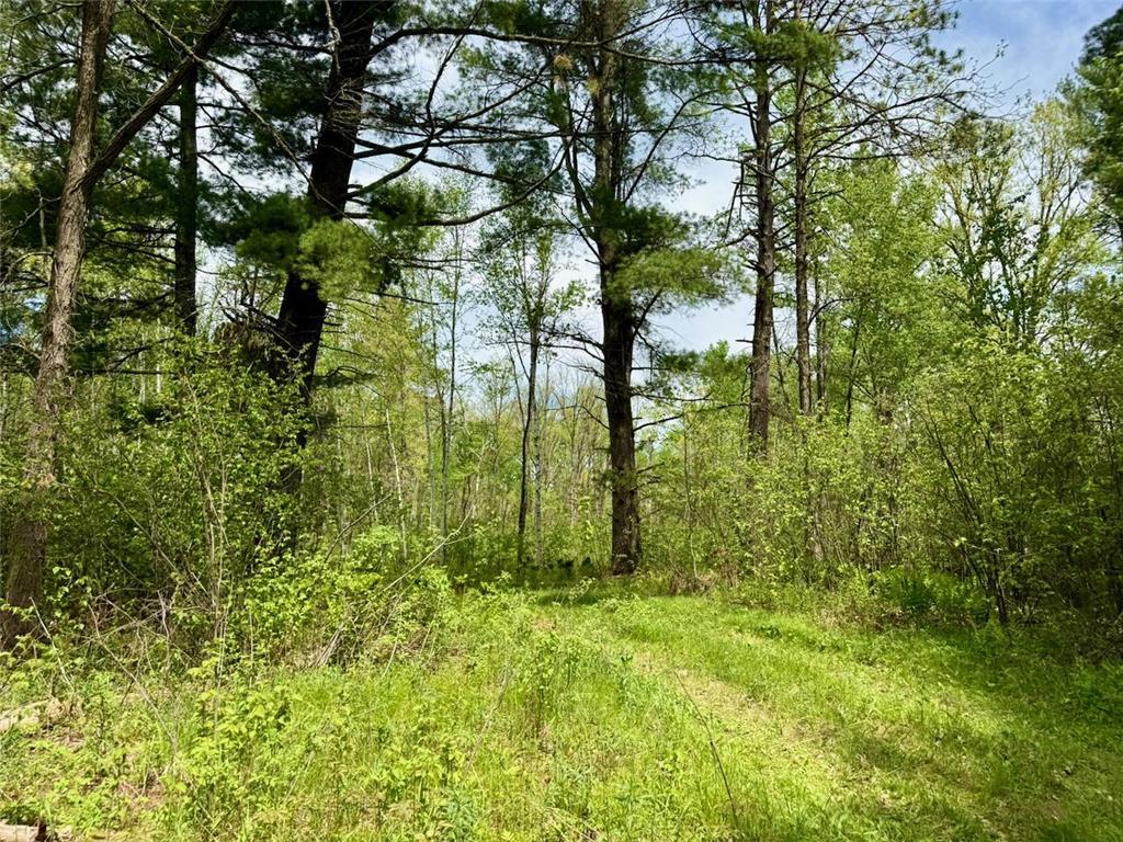 XYZ County Road 39 Rutledge MN 55795 7081678 image1
