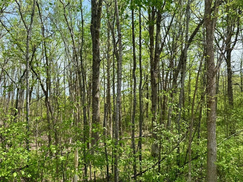 XYZ County Road 39 Rutledge MN 55795 7081678 image10