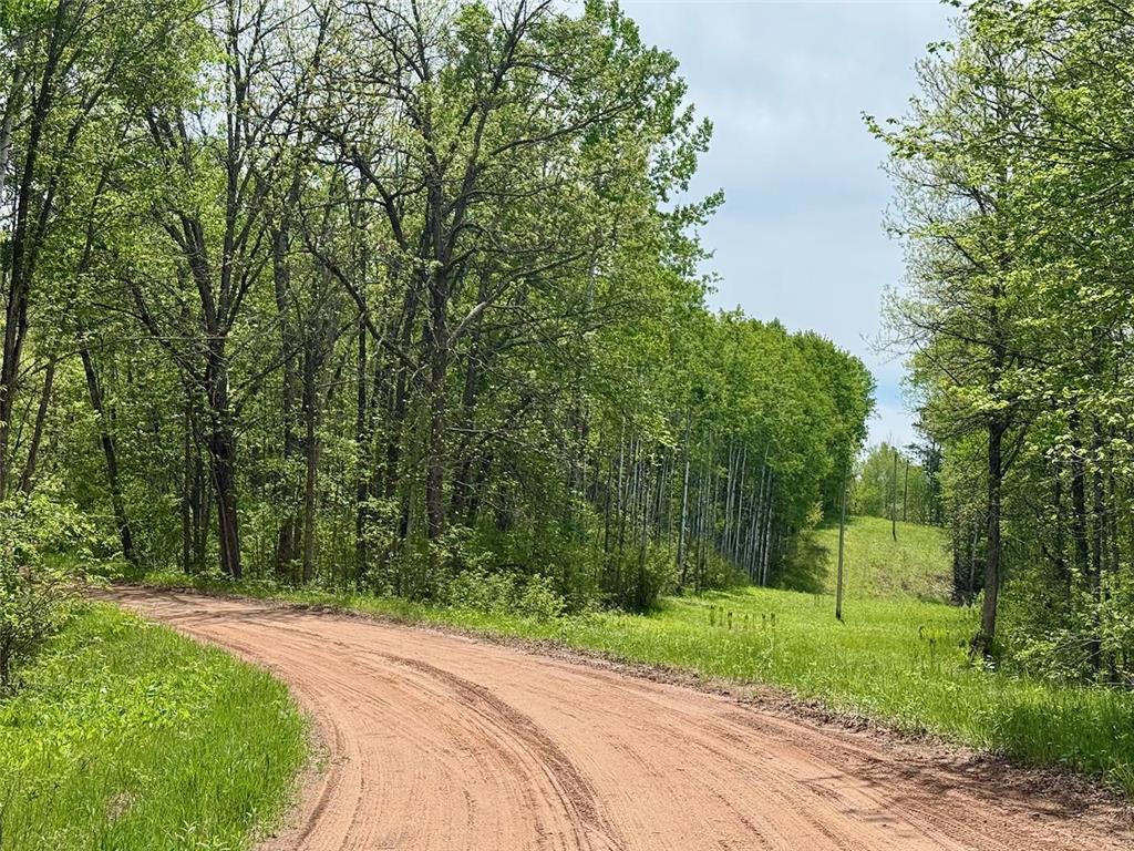 XYZ County Road 39 Rutledge MN 55795 7081678 image11