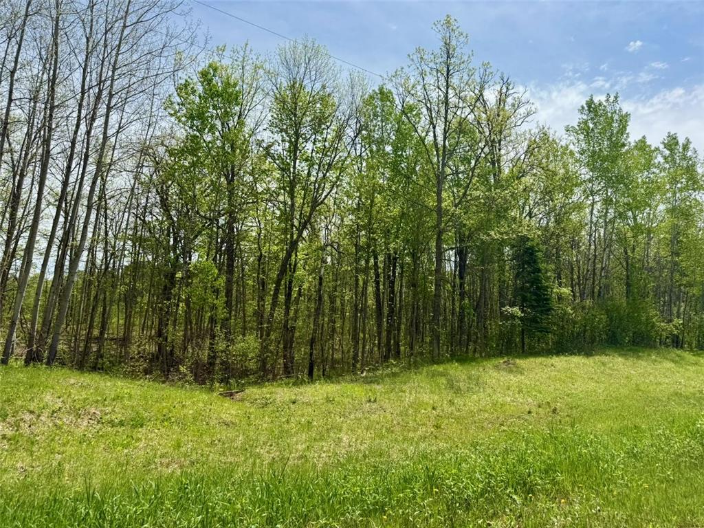 XYZ County Road 39 Rutledge MN 55795 7081678 image12