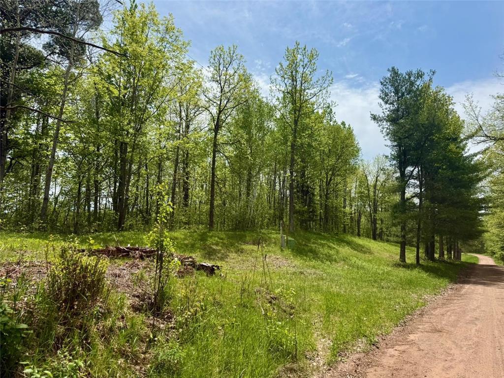 XYZ County Road 39 Rutledge MN 55795 7081678 image13