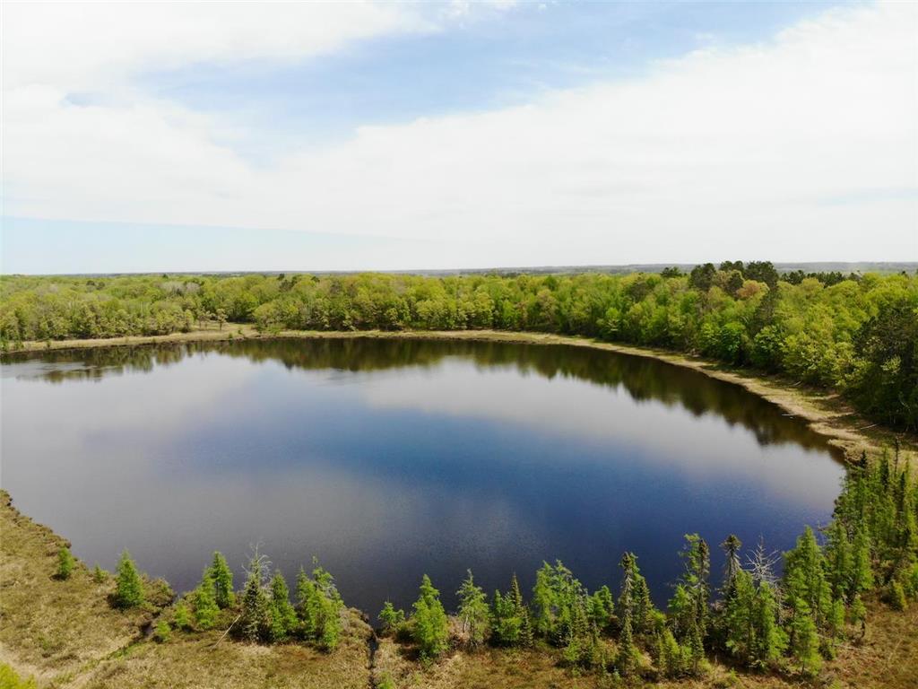 XYZ County Road 39 Rutledge MN 55795 7081678 image2