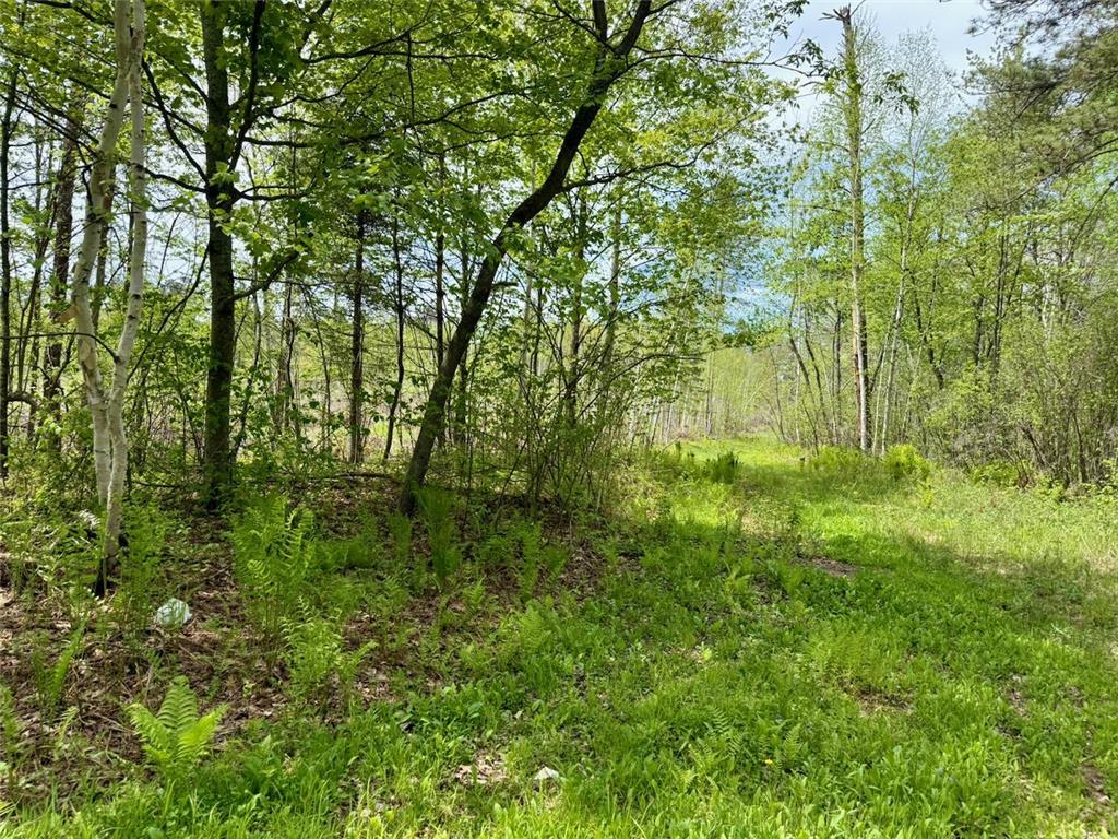 XYZ County Road 39 Rutledge MN 55795 7081678 image3