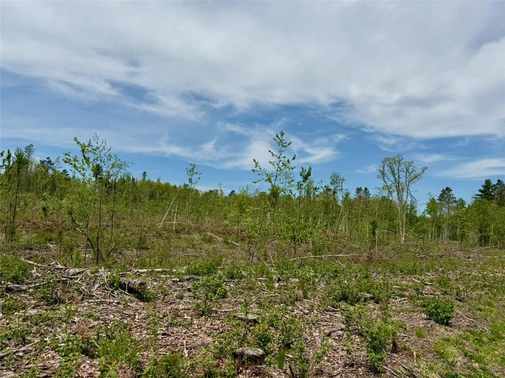 XYZ County Road 39 Rutledge MN 55795 7081678 image4
