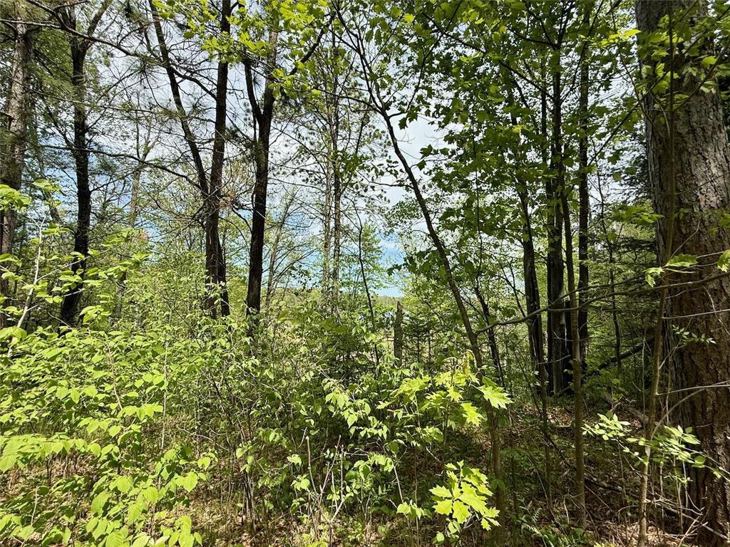 XYZ County Road 39 Rutledge MN 55795 7081678 image7