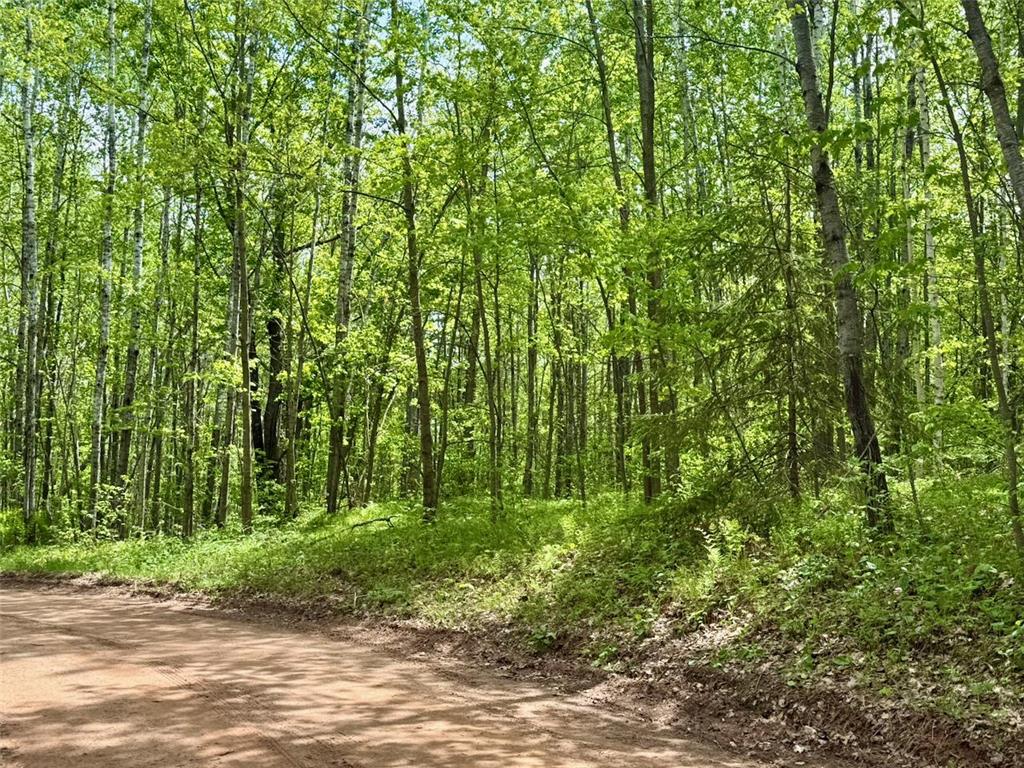 XYZ County Road 39 Rutledge MN 55795 7081678 image8