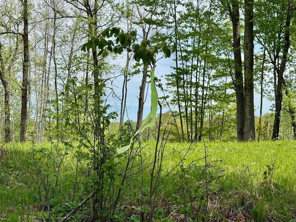 XYZ County Road 39 Rutledge MN 55795 7081678 image9