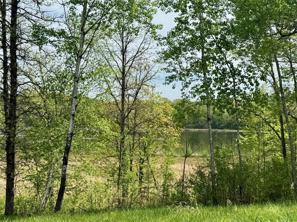 XYZ Dailey Lake Road Rutledge MN 55795 7081865 image1