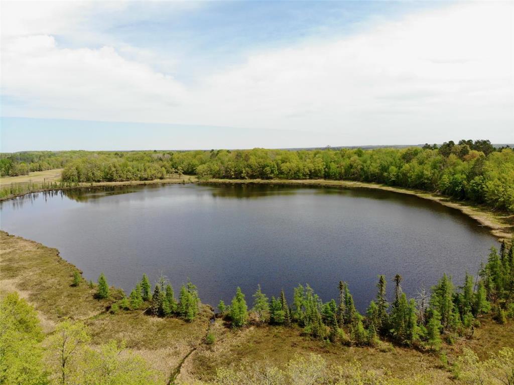 XYZ Dailey Lake Road Rutledge MN 55795 7081865 image11