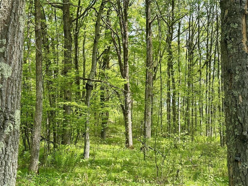 XYZ Dailey Lake Road Rutledge MN 55795 7081865 image2