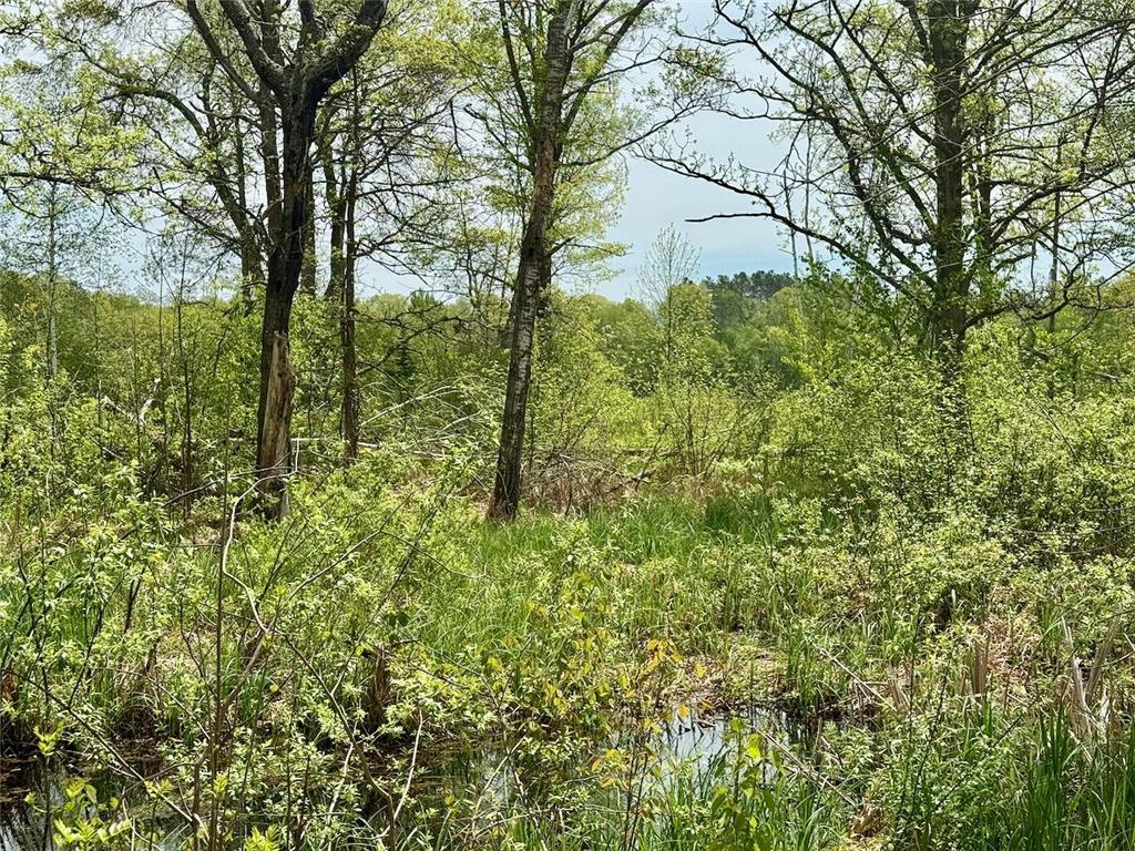 XYZ Dailey Lake Road Rutledge MN 55795 7081865 image3