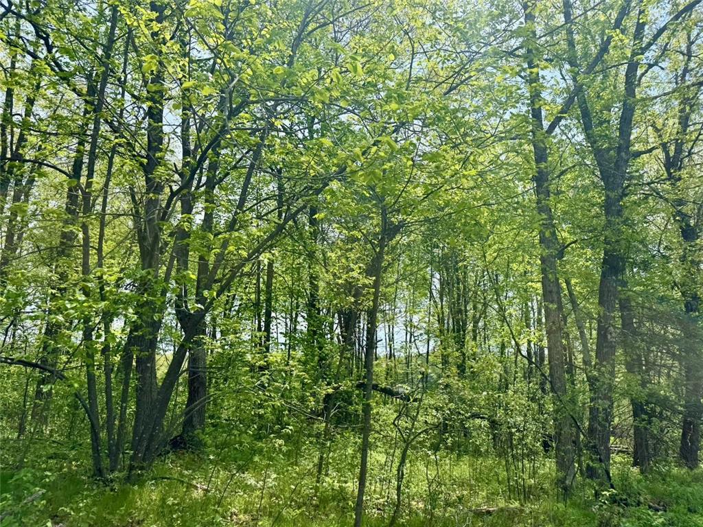 XYZ Dailey Lake Road Rutledge MN 55795 7081865 image6
