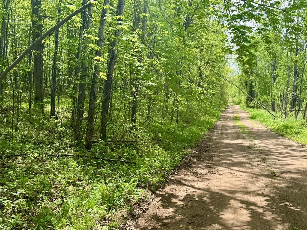XYZ Dailey Lake Road Rutledge MN 55795 7081865 image7