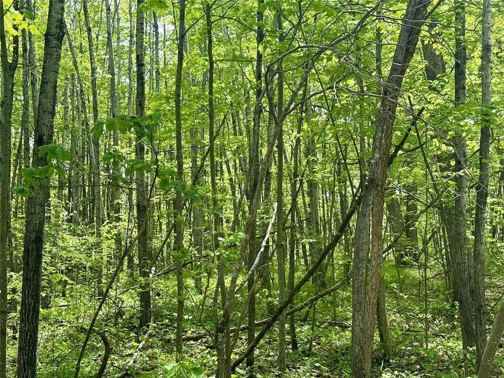 XYZ Dailey Lake Road Rutledge MN 55795 7081865 image8