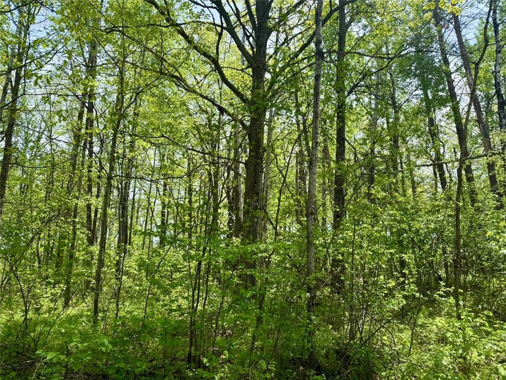 XYZ Dailey Lake Road Rutledge MN 55795 7081865 image9
