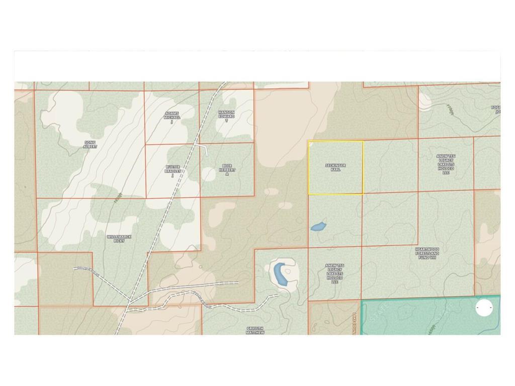 XYZ McAlpine Spur Road East Lake Unorg. Terr. MN 55616 6692459 image1