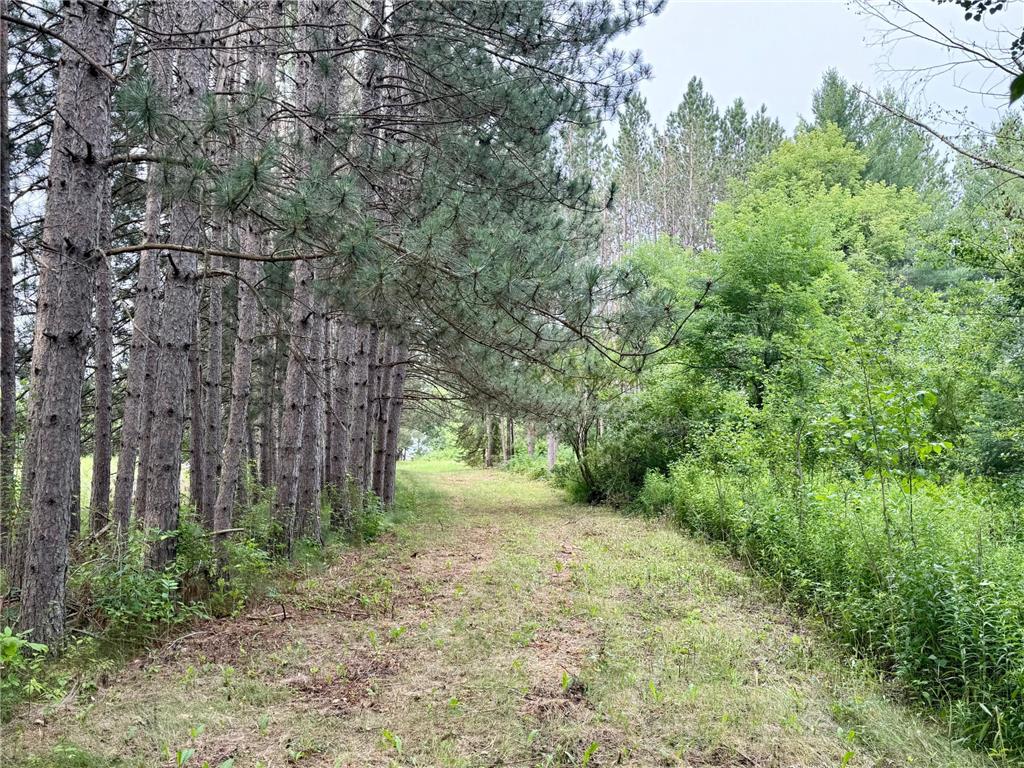 XYZ Plank Road Sturgeon Lake MN 55783 - Moose Horn River 6759505 image1