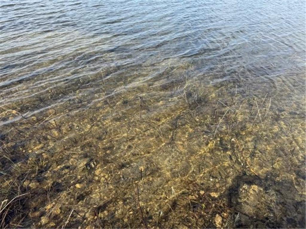 Xx5 Lake Hattie Trail SW, Backus, MN, 56435 MLS 6562052 Edina Realty