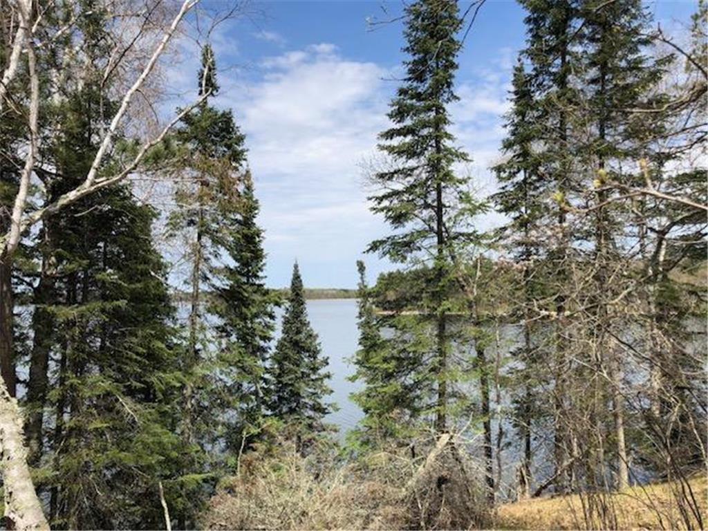 Xx6 Lake Hattie Trail SW, Backus, MN, 56435 MLS 6562044 Edina Realty