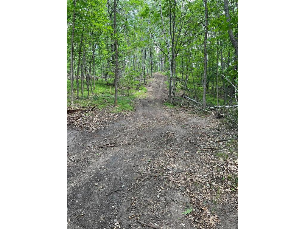 Xxx Lake Hattie Trail SW, Backus, MN, 56435 MLS 6552968 Edina Realty