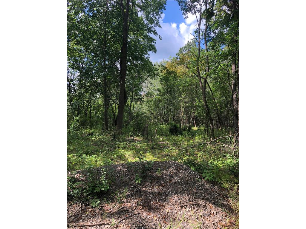 Xxx NW 191st Street NW, Big Lake Twp, MN 55309 MLS 6258425 Edina