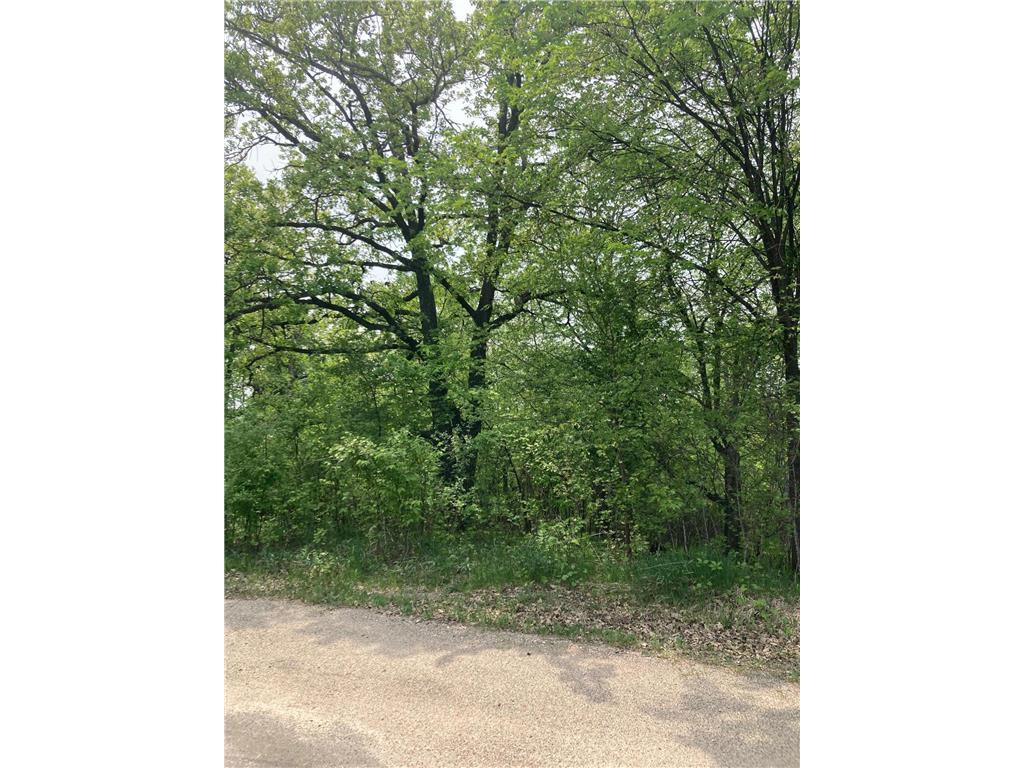 Xxx Westwood Drive Battle Lake MN 56515 6375007 image1