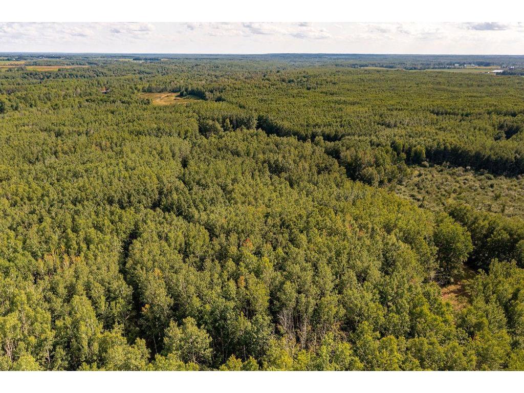 Xxxx Hwy 27 Kettle River MN 55757 - Kettle River 6778937 image18