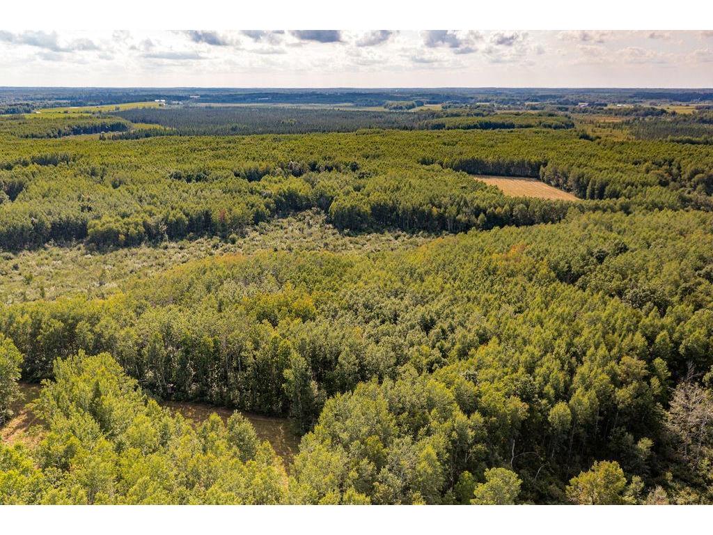 Xxxx Hwy 27 Kettle River MN 55757 - Kettle River 6778937 image19